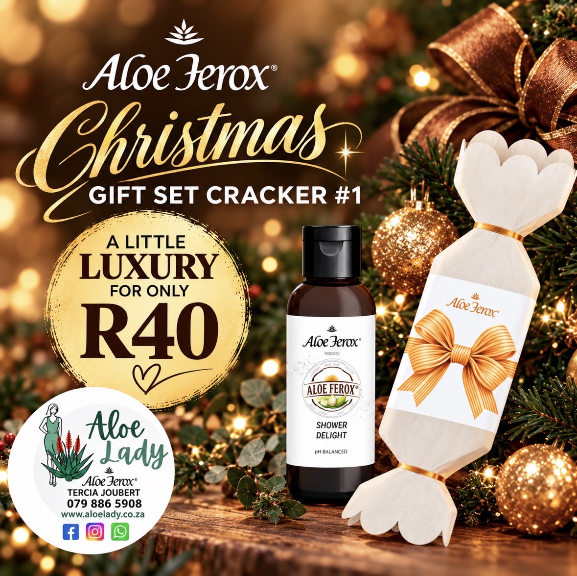 🎄 Aloe Ferox Christmas Gift Set Cracker #1 🎄
